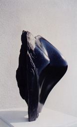 plast2.jpg (15588 Byte)